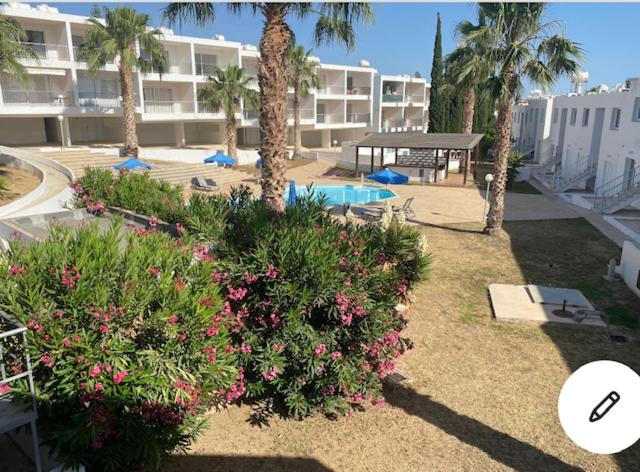 Cyprus Studio with pool near Beach, Pegeia