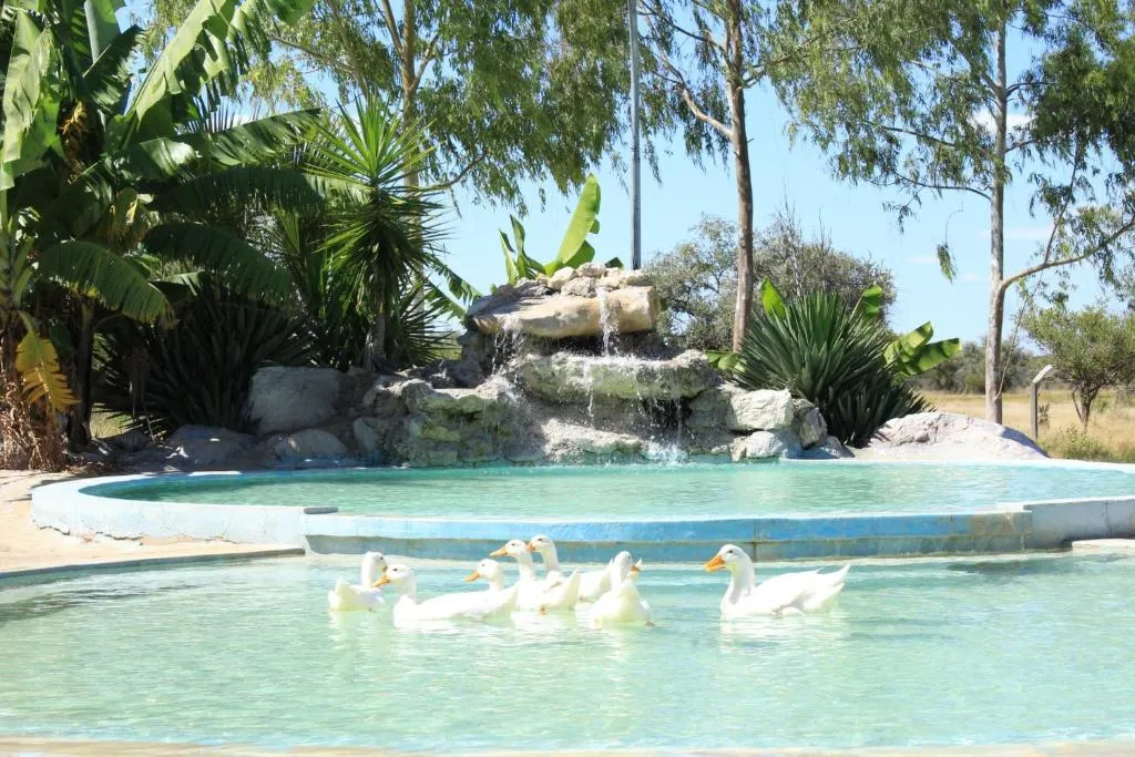 Bambi Lodge, hotel in Grootfontein