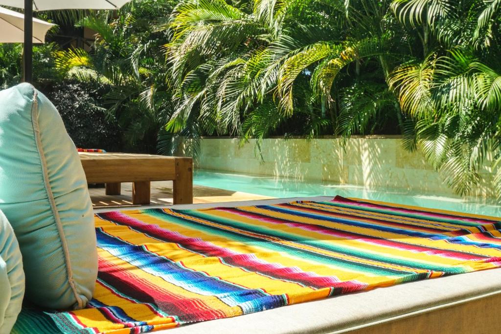 Hotel Gallo de Mar photo