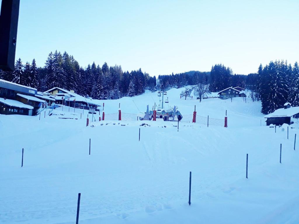 3 Pièces au pied des pistes - Morillon 1100, 6-7 pers, TV - 5