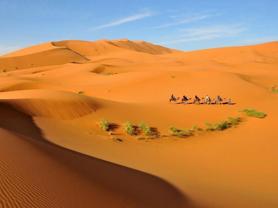 Surrounding environment