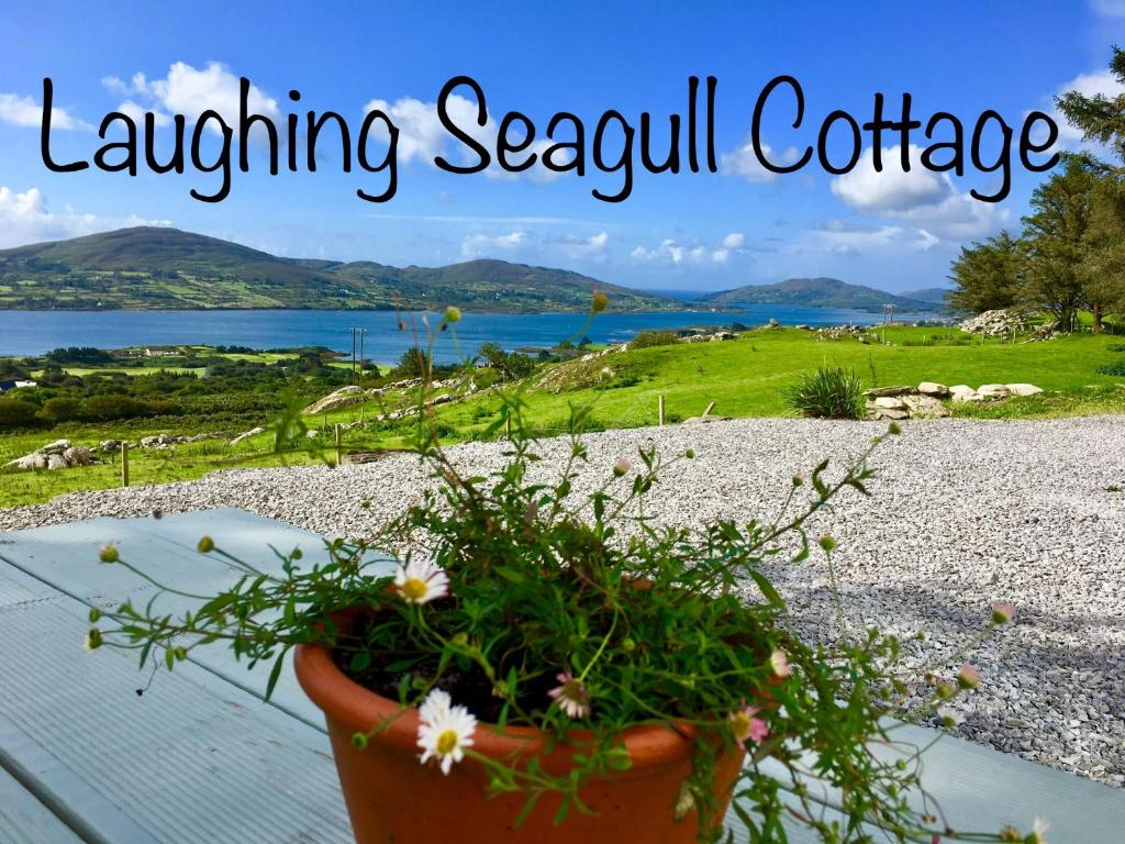 Laughing Seagull Cottage - unspoilt sea views