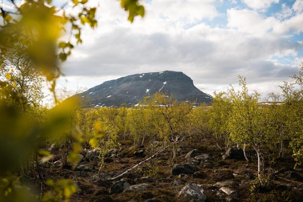 Surrounding environment