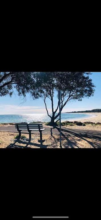 The Best Beach Cabin photo