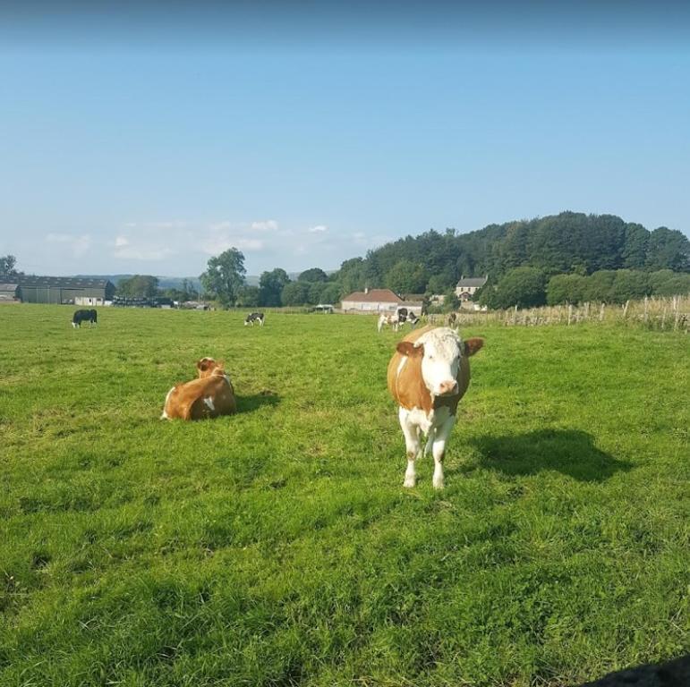 Hillhead Farm Lets photo