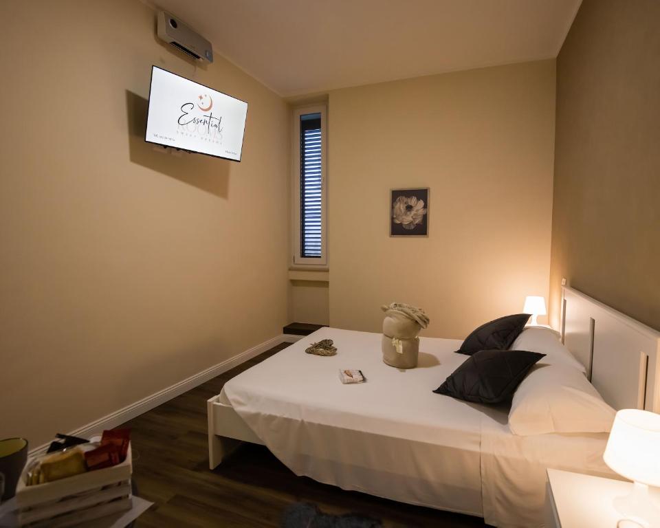 Essential Rooms, Campobasso