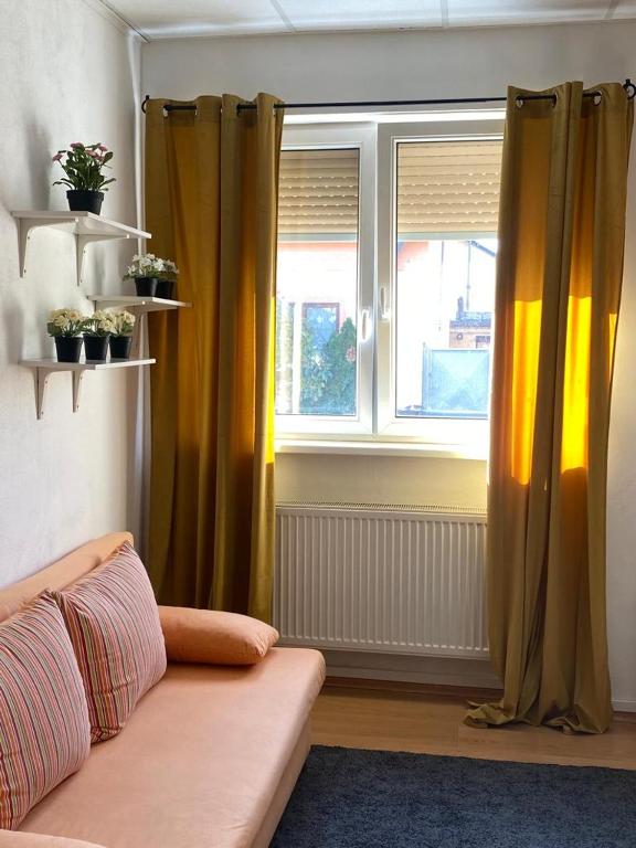 apartman-Raca photo