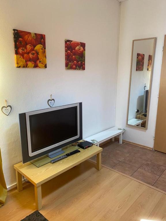 apartman-Raca photo