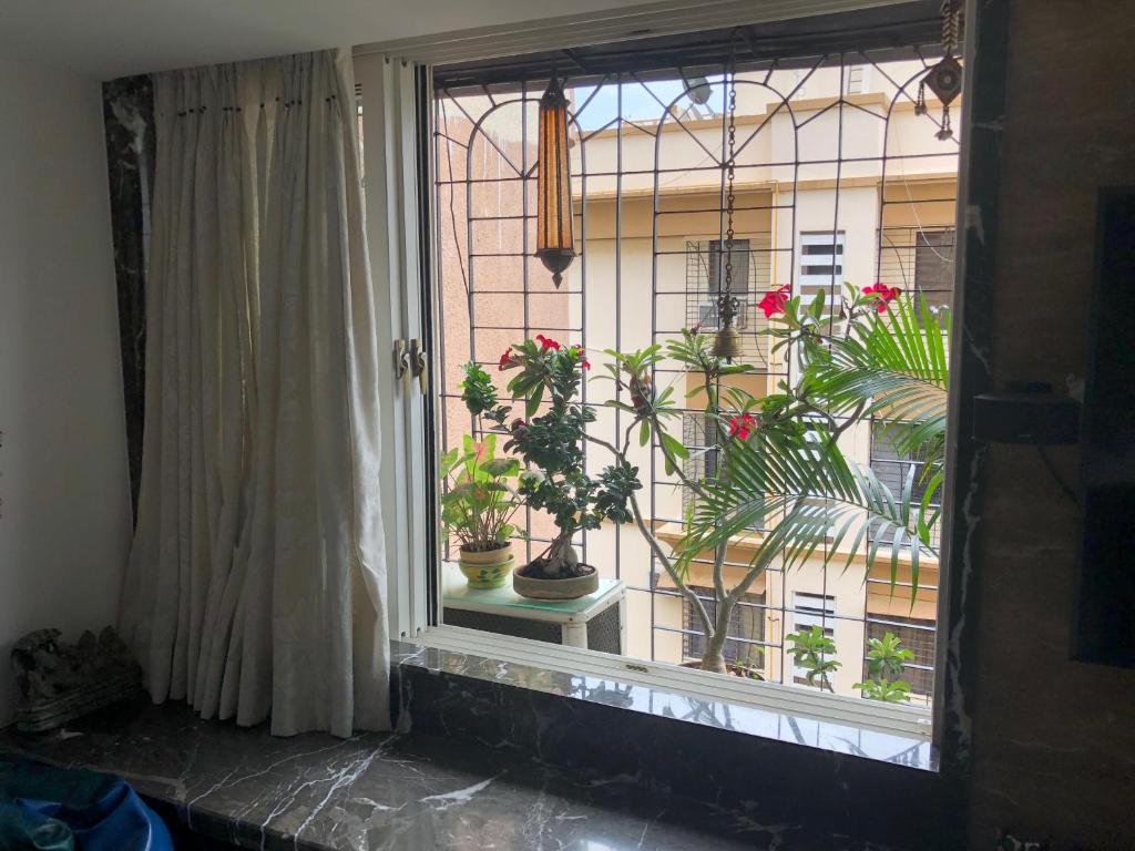 Luxurious Cozy 1 King Bed suite with free parking photo