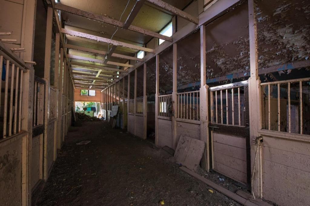 Tentrr - Abandoned Zoo Overlook photo
