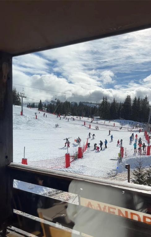 Grand Studio aux pieds des pistes sans vis à vis - 2