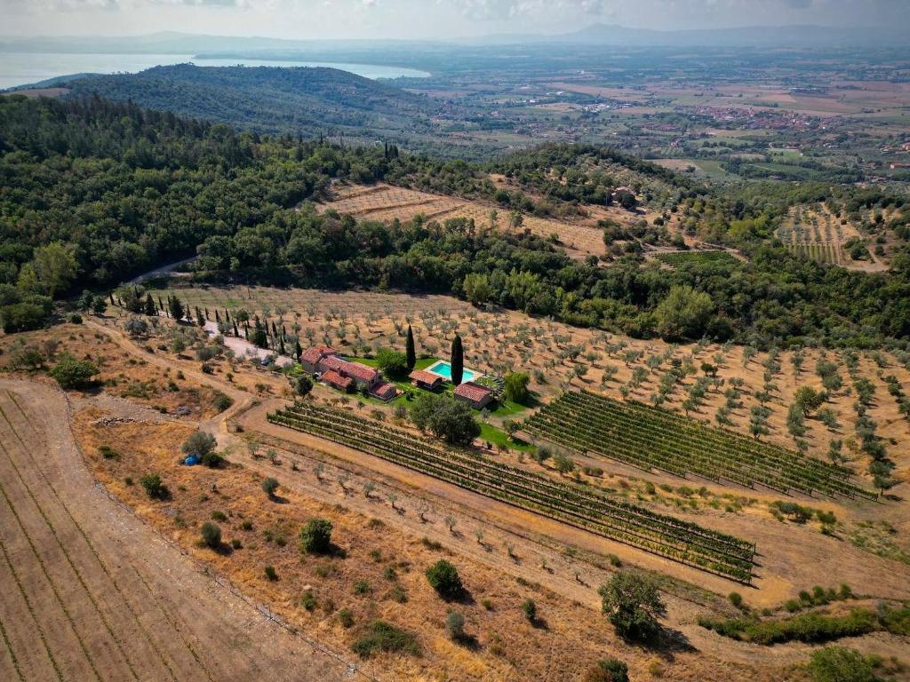 Tenuta Angelici Winery Agriturismo Henni with pool sauna and jacuzzi Cortona - 2