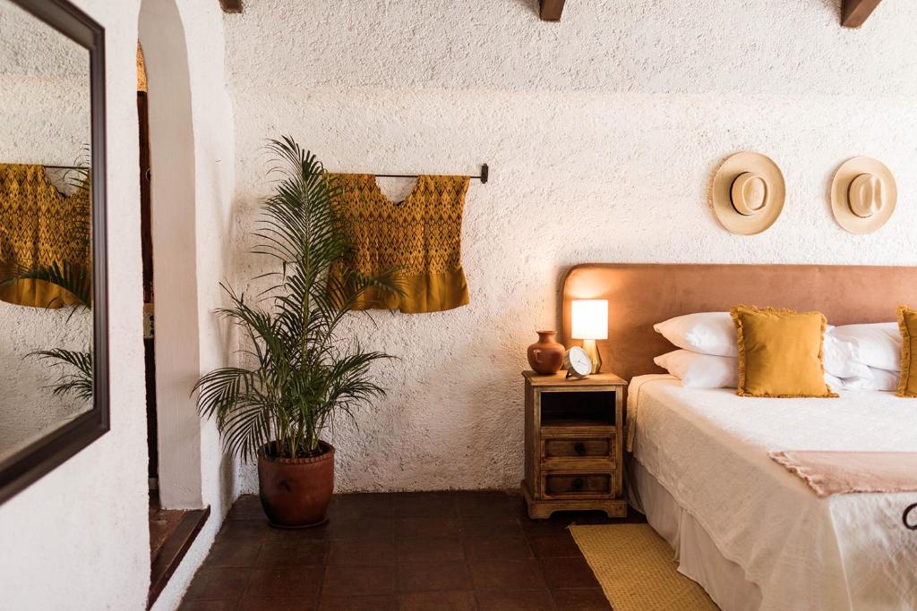 Cacao Boutique Hotel photo