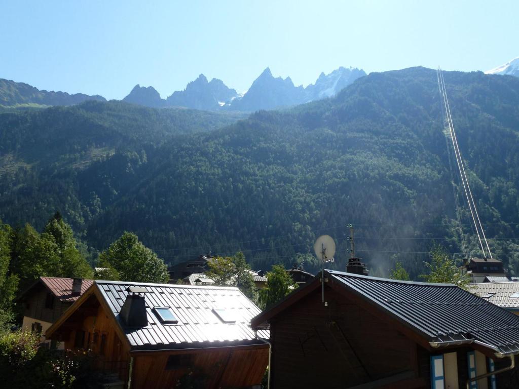 Charmant appartement au cœur de Chamonix avec parking et animaux acceptés - FR-1-343-187 - 3