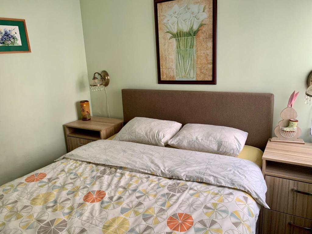 Sunny Apartment Petrovac 전경