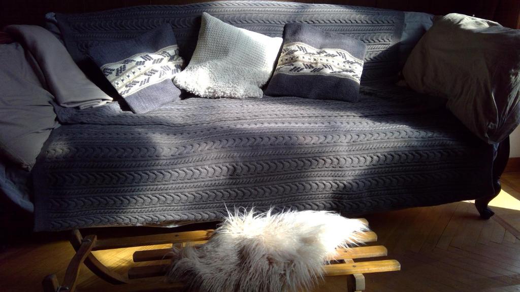 Cosy Chacha - 5
