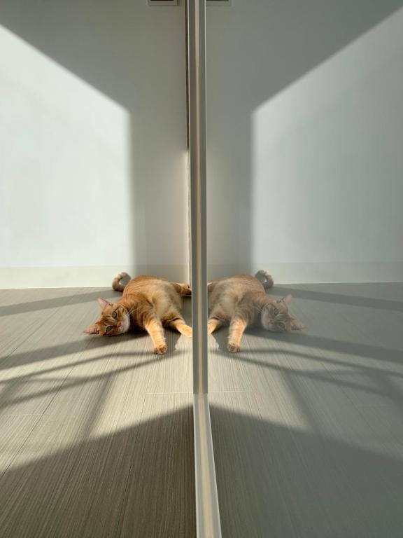 台南包棟 好寿民宿 Koju貸切一軒家, Tchaj-nan