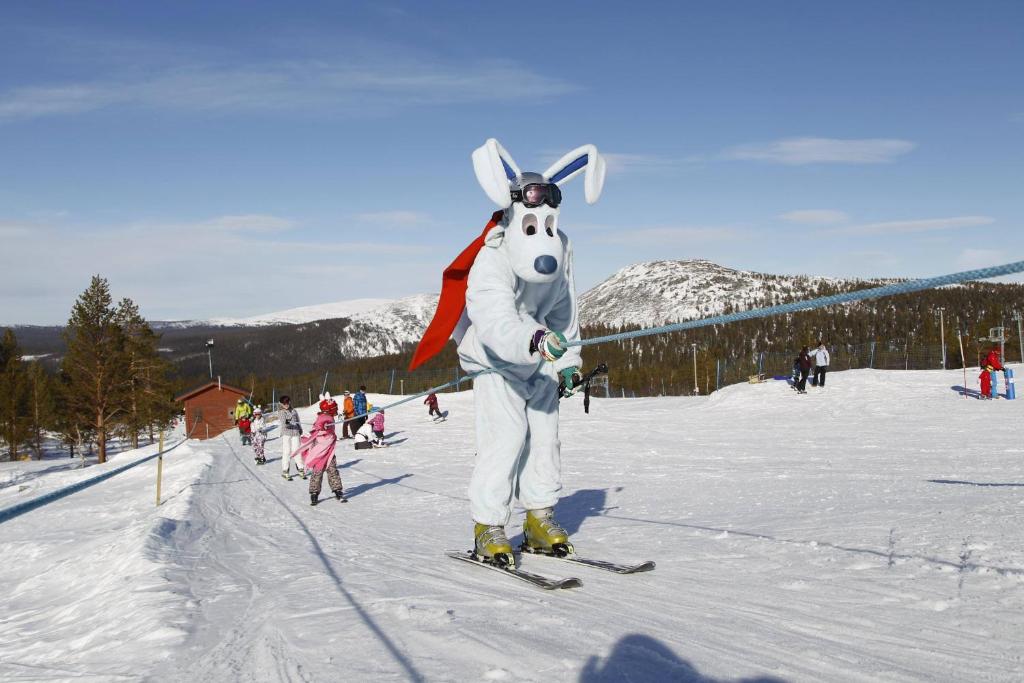 Sports and activities