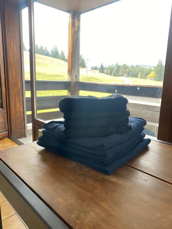 Grand Studio aux pieds des pistes sans vis à vis - 5
