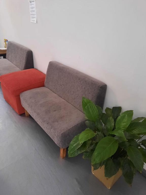 Cañas Suites Urbanas - 5