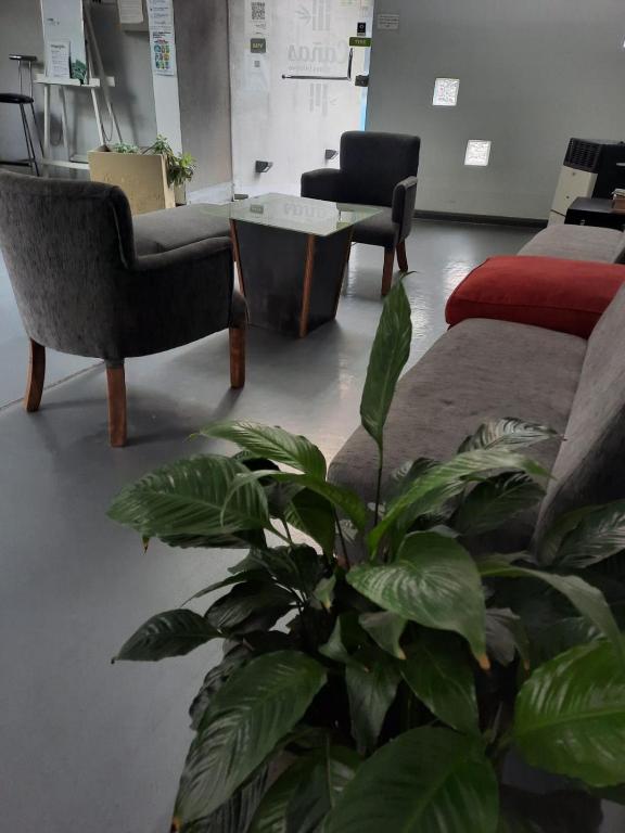 Cañas Suites Urbanas - 3