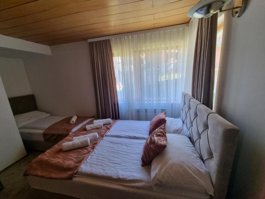 Pansion Rog Jahorina - 5
