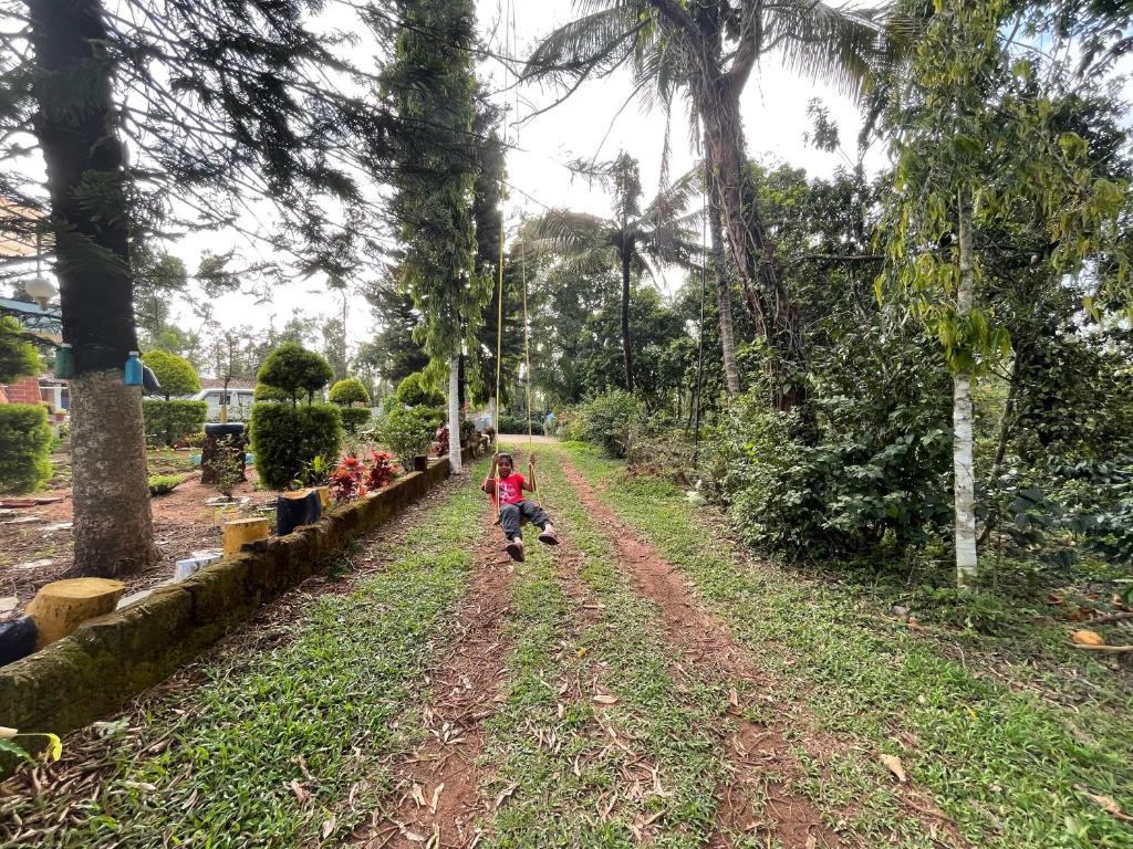 NEW ORGANIC HOME STAY photo