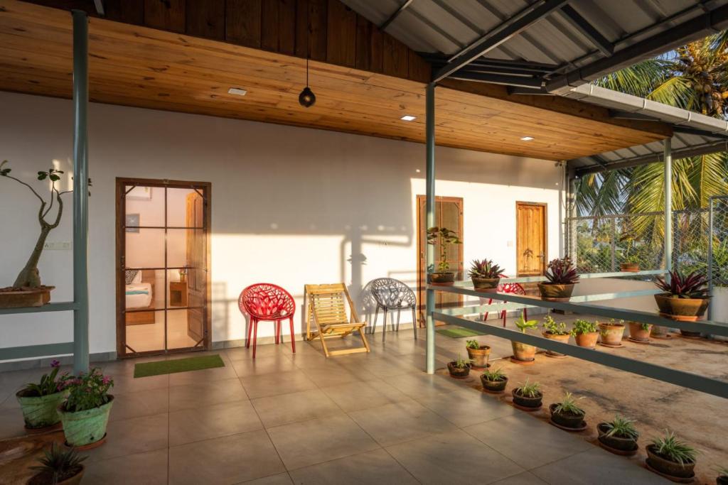 Homested Homestay photo