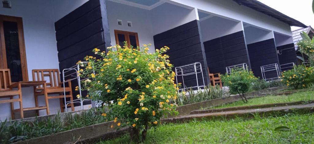 Anak Rinjani Guest House — Hotel in Lombok