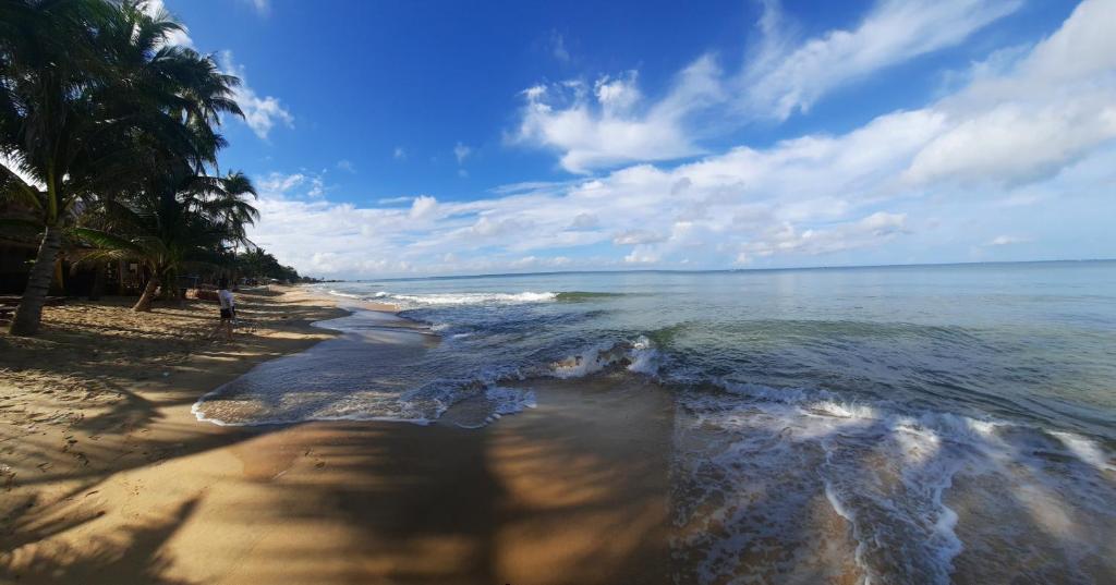 Tài Trí Guest House