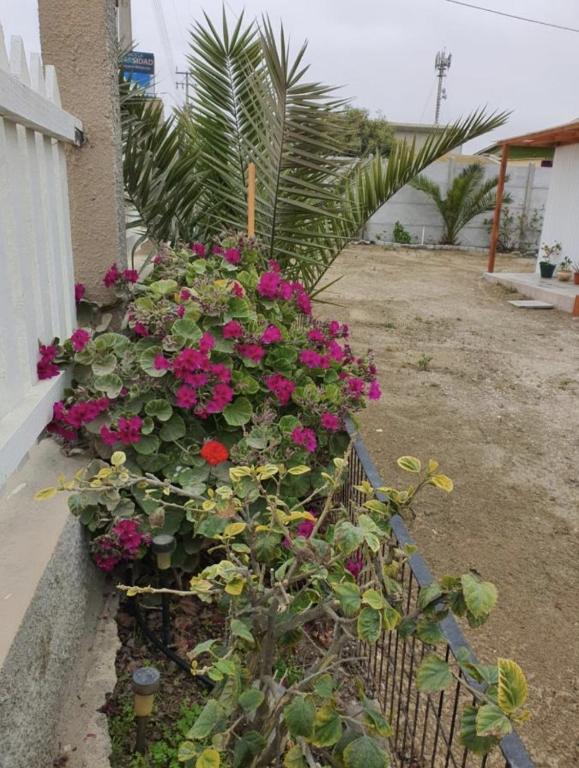 Casa Quelita - 5