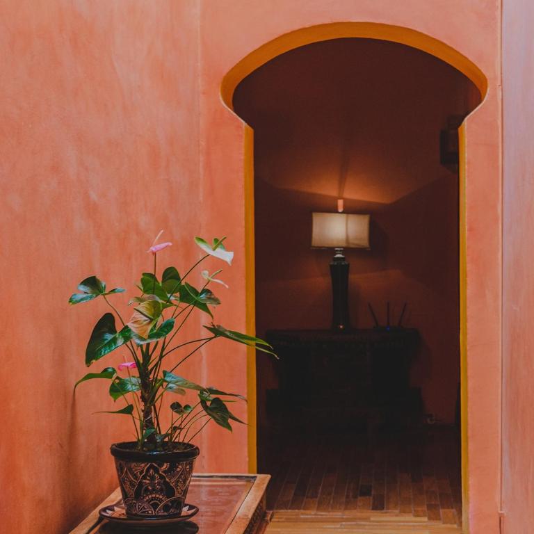La Casa de la Marquesa photo