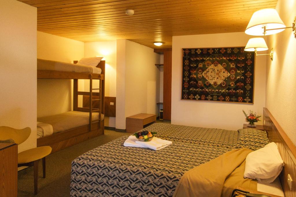 Hotel Andino Club - Hotel Asociado Casa Andina - 2