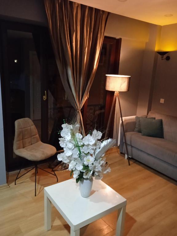 MEDUSA HOME — Hotel in İstanbul