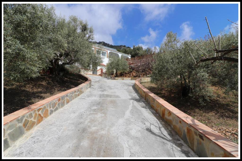 Casa Leo - 2