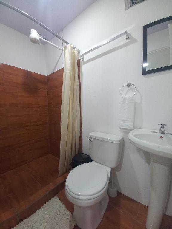 W's Hostel photo