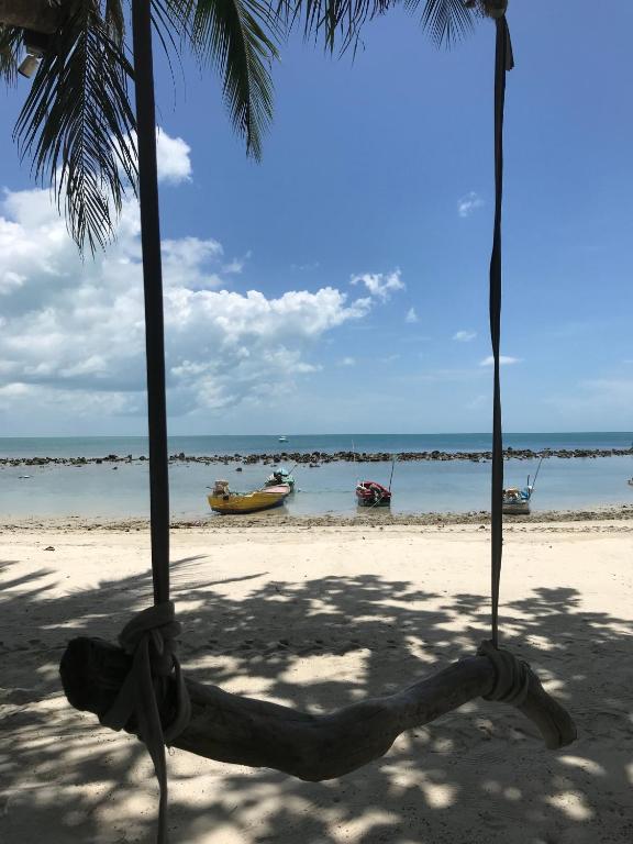 Jungle Gym & Ecolodge photo