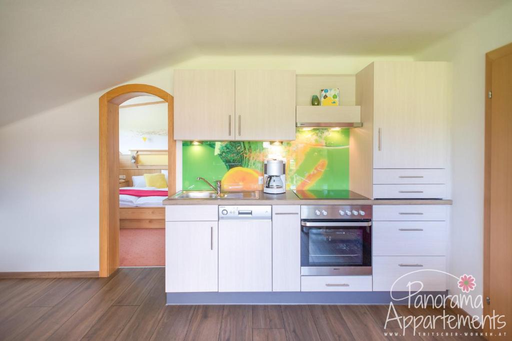 Panorama Appartement inklusive Schladming Dachstein Freizeitcard - 5