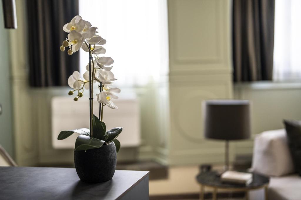 MBA Suite - Maggio Boutique Apartment - 3