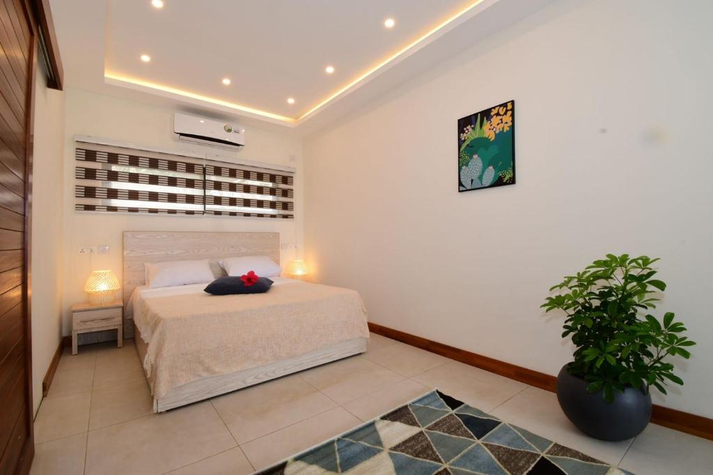 Residence Soleane photo