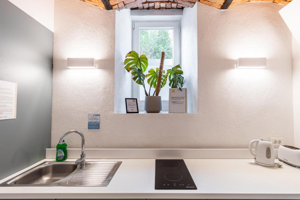 Boutique Hostel Angel 7