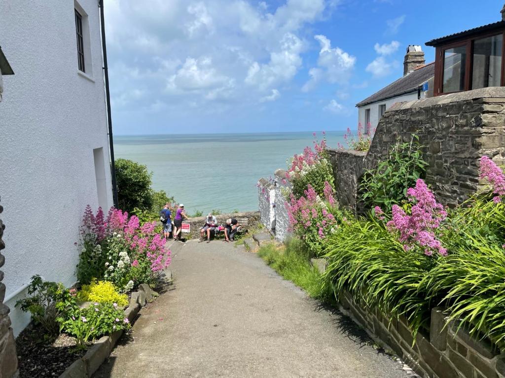 Idyllic Entire Chalet in Bideford Bay Holiday Park near Clovelly photo 8