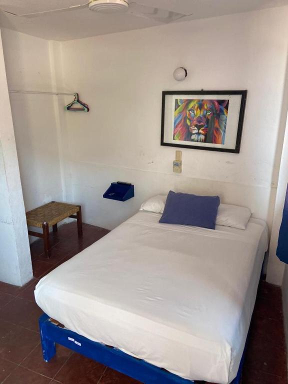 Hotel & Hostal Mayflower photo