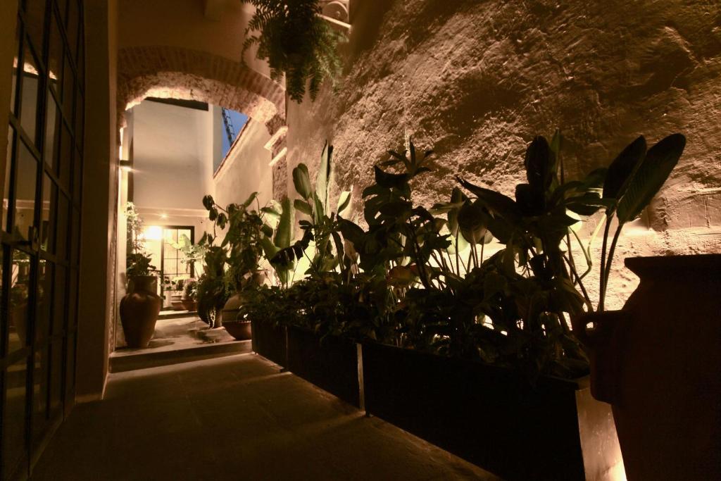 Casa Realm - 3