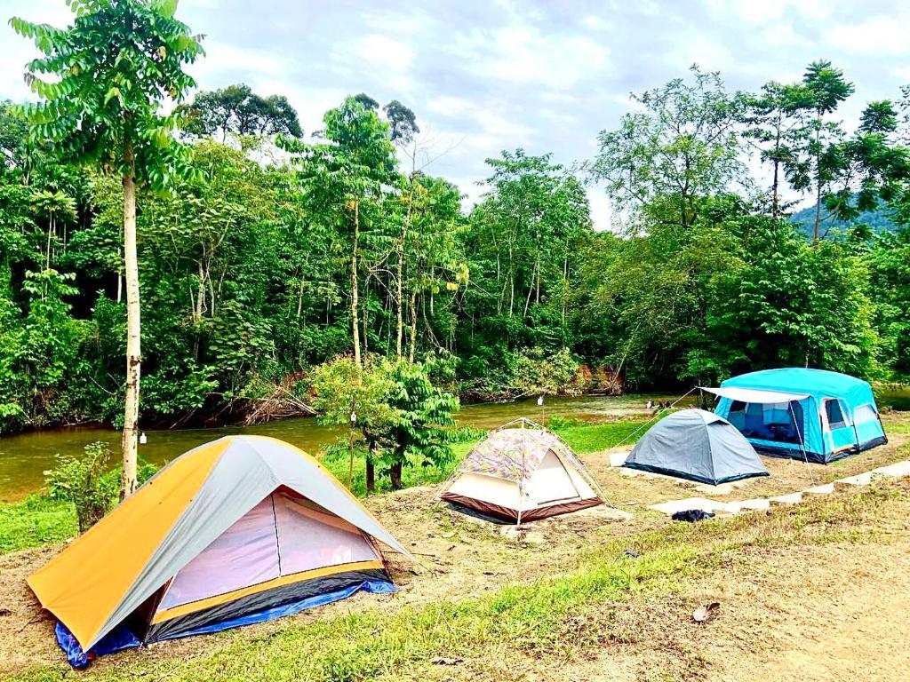 SAS Homestay & Campsite photo