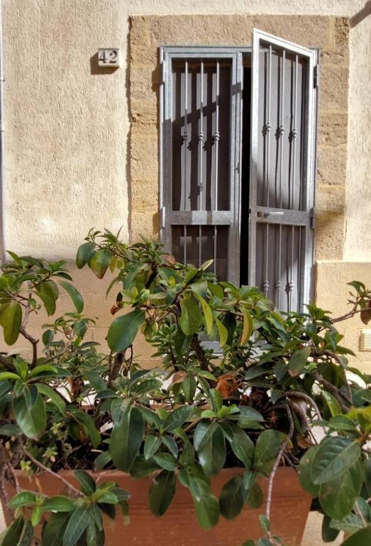 Bed & Breakfast Porta d'Oriente - 3