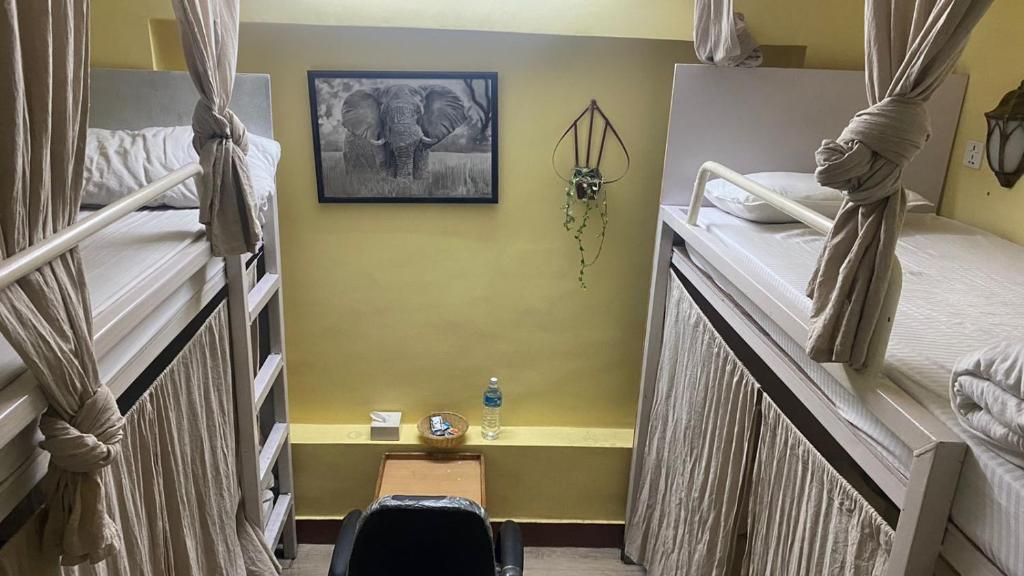 Hotel Green Planet — Hotel in Kathmandu