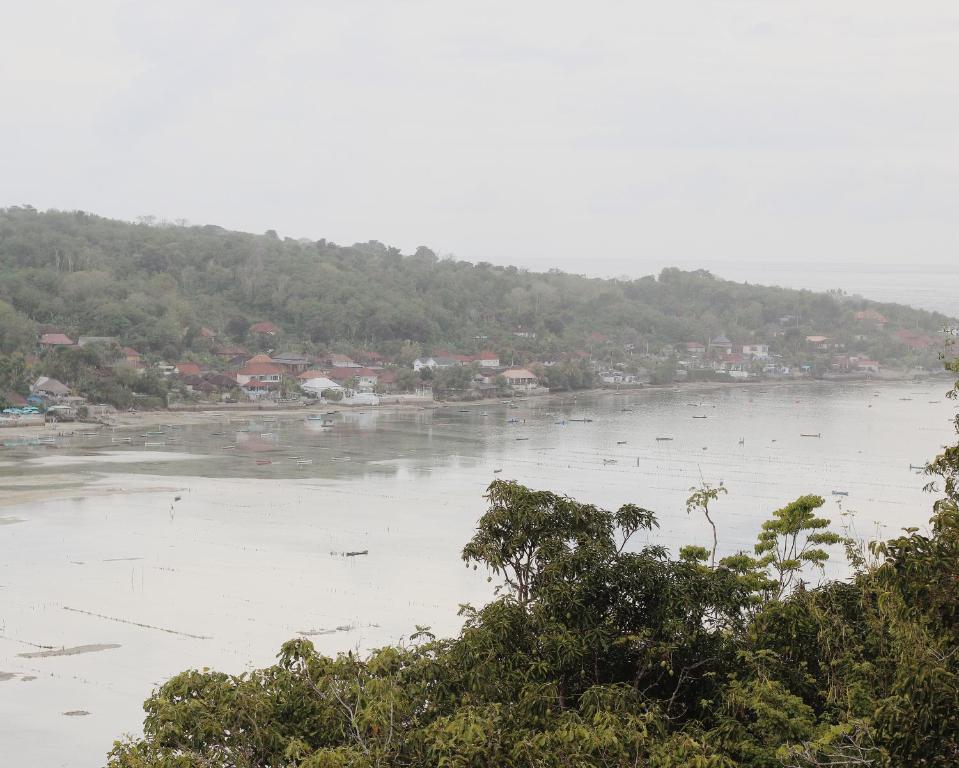 Surrounding environment