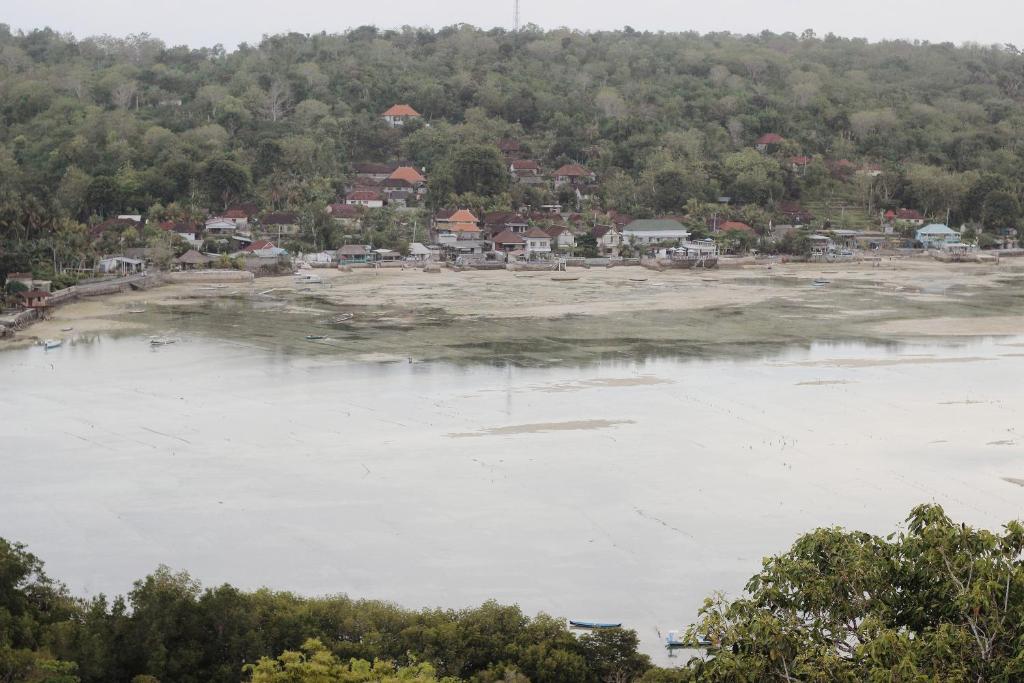 Surrounding environment