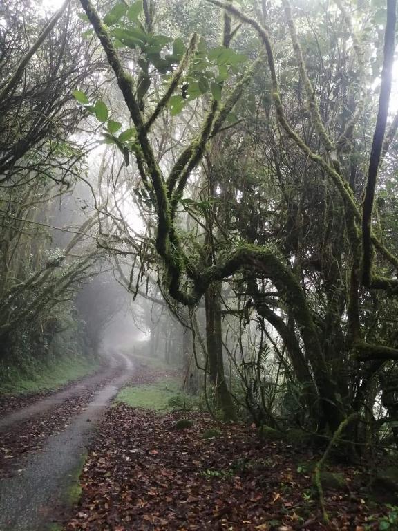 Suasana persekitaran